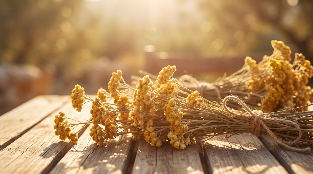 Immortelle im Parfum: Der Duft von Sonne und Heu